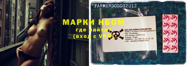хмурый Абаза