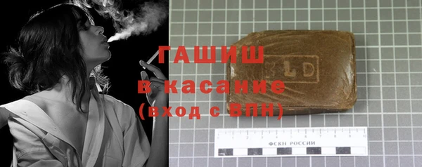 хмурый Абаза