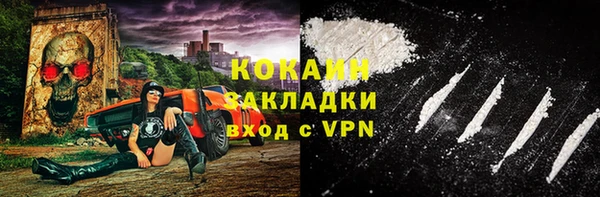 хмурый Абаза