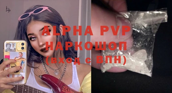 хмурый Абаза
