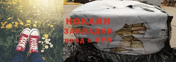 хмурый Абаза