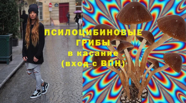 хмурый Абаза